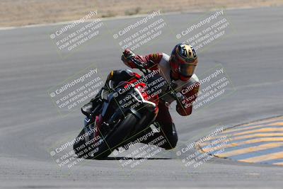 media/Apr-09-2023-SoCal Trackdays (Sun) [[333f347954]]/Turn 10 (115pm)/